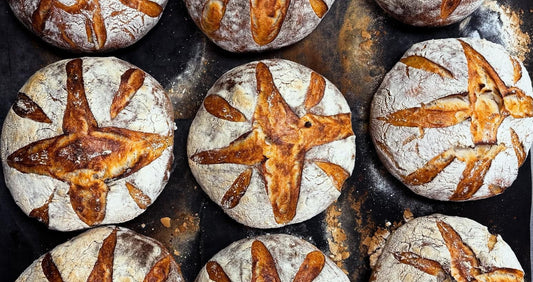 Best Bakery in Wellington | Fresh Pies, Cakes & Bread